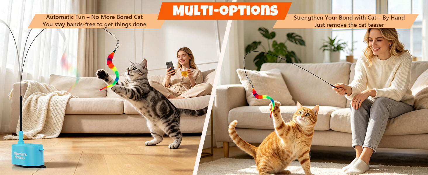interactive cat toy