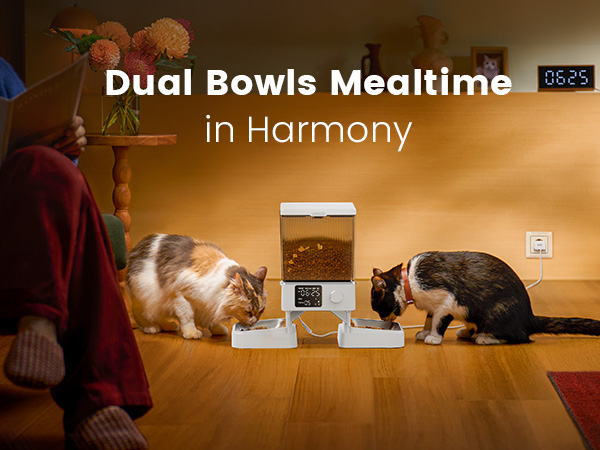 Automatic cat feeder