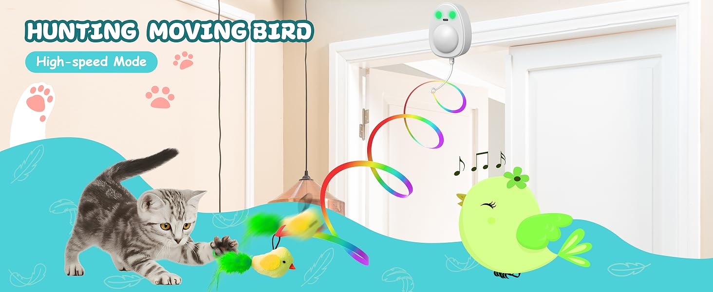 Bird