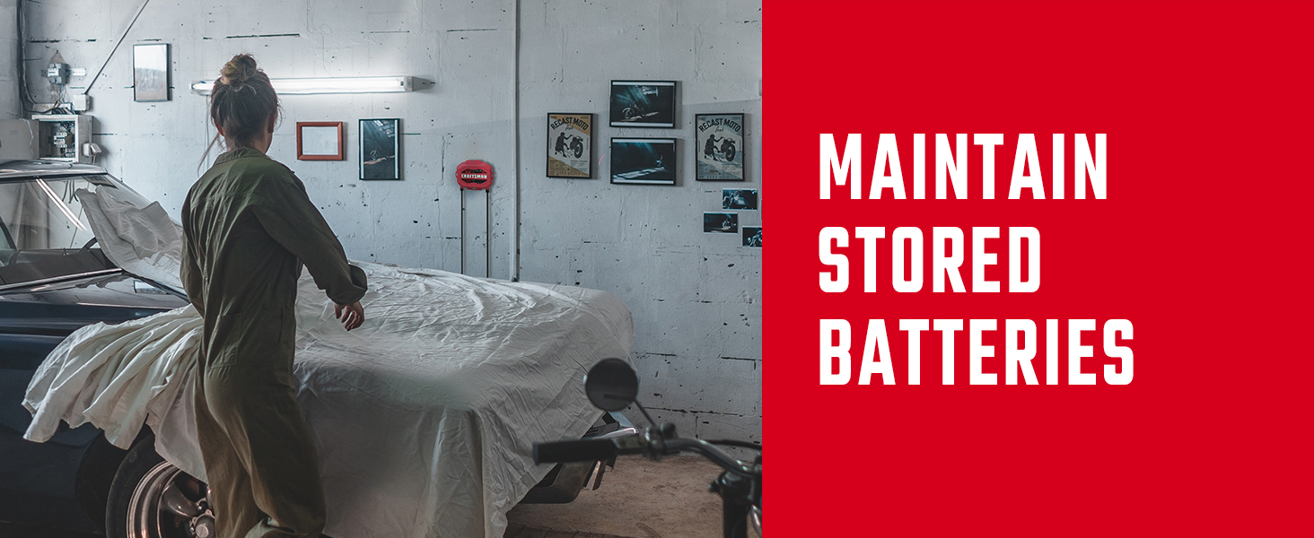 Upgraded CRAFTSMAN CMXCESM259 1.5A 6V/12V Automotive Battery Maintainer