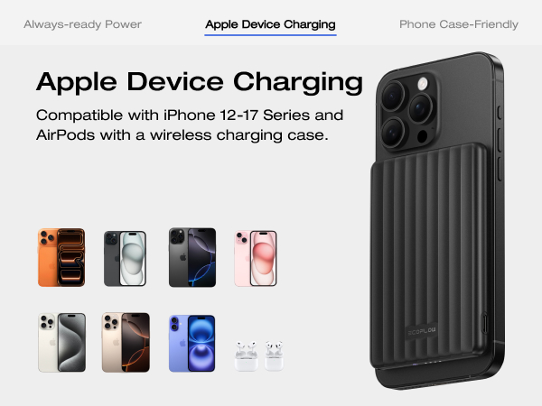power bank fast charging