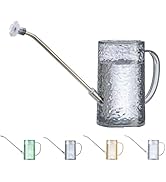 Long Spout Watering Can Indoor Plants, Small Watering Cans for House Plants, Flowers, Succulents ...