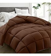 HYLEORY All Season Queen Size Bed Comforter - Cooling Down Alternative Quilted Duvet Insert with ...