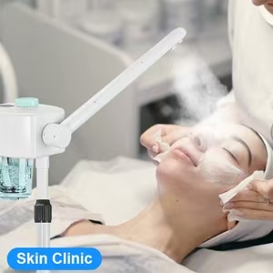 face steamer
