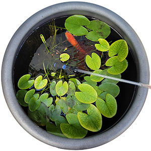Nano Aquarium Cleaner Kit
