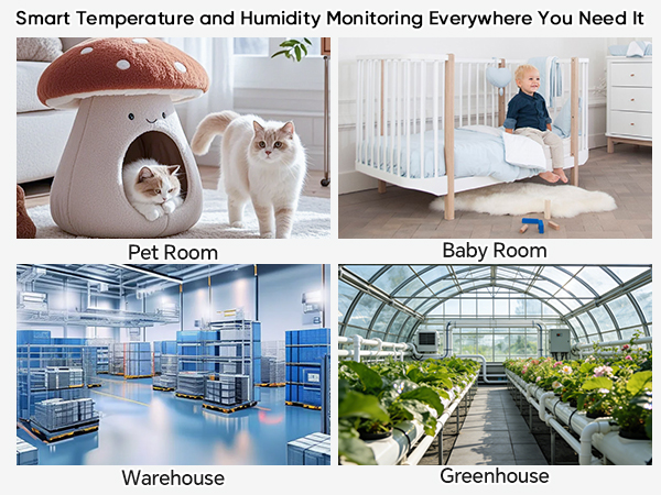 WiFi Freezer Thermometer Alarm