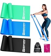 Resistance Bands for Working Out, Exercise Bands for Physical Therapy, Stretch, Recovery, Pilates...