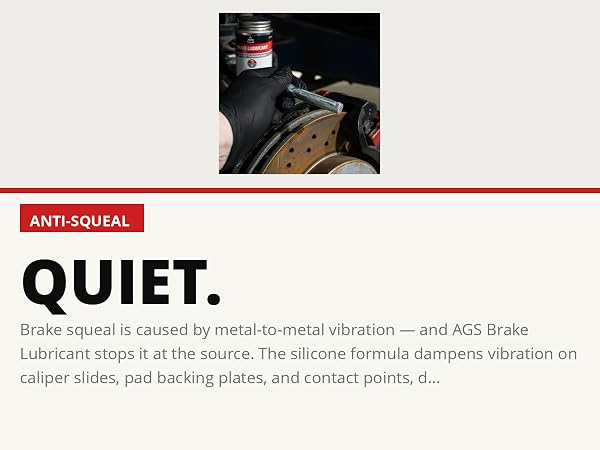 Mechanic applying AGS Brake Lubricant to caliper slide pins with brake rotor and caliper visible