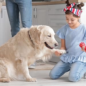 Young girl on her knees holding the paw of a large dog on the kitchen floor