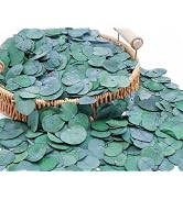 3200+ Preserved Real Eucalyptus Leaves Small, Natural Bulk Eucalyptus, Wedding...