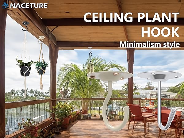 Palnt platn hangerbay indooor cieling celing cealing hoock hopok ahook fooks haning palnts plantes