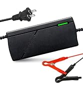 12V 10A LifePO4 Battery Charger 14.6V Smart Charger and Maintainer for LiFePO4 Lithium-Iron Deep ...