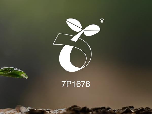 SEEDLING TUV CERTIFIED