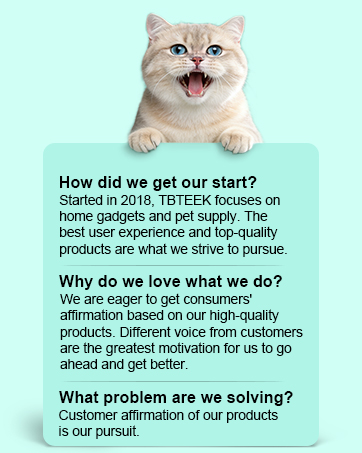 cat toy