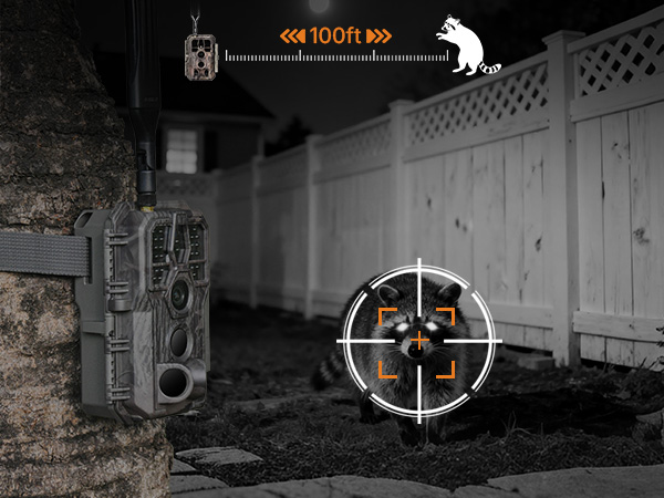 night vision