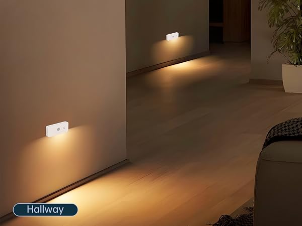 Wall Light