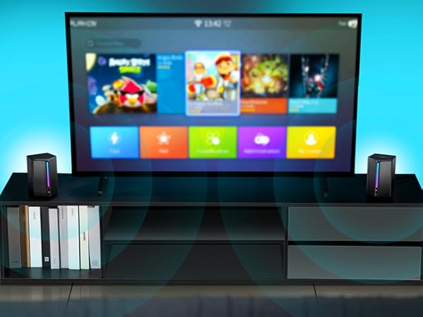 speakers work with monitor and projector