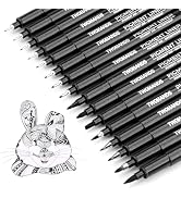 TWOHANDS Art Pen Drawing Marker Pens Fineliners, Set of 16, Black | Technical Drawing Marker, Pig...
