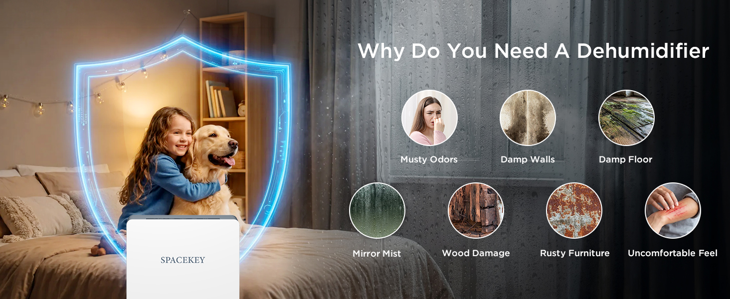 dehumidifiers for home