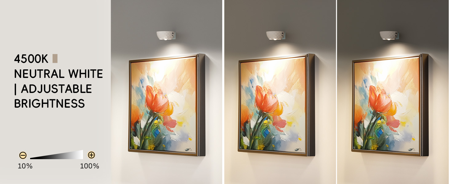 lights for pictures on wall