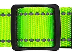 MYIWB Dog Collar Adjustable Buckle, Custom Fit for All Breeds, Heavy-Duty Nylon