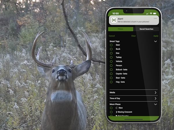 Smart AI on the phone