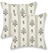 DAFENA Sage Green Brown Pillow Covers 18x18 Inch 2 Pcs Block Print Striped Vintage Floral Decor T...