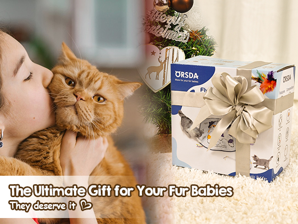 gift for cat toys