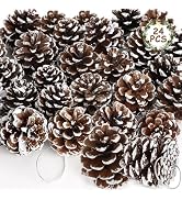 24 PCS Natural Pine Cones, 1.96 in Pinecone Ornaments, Pine Cones for Crafts with Sliver String, ...