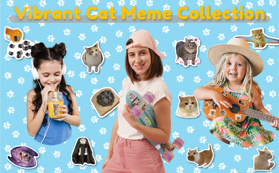 Vibrant Cat Meme Collection