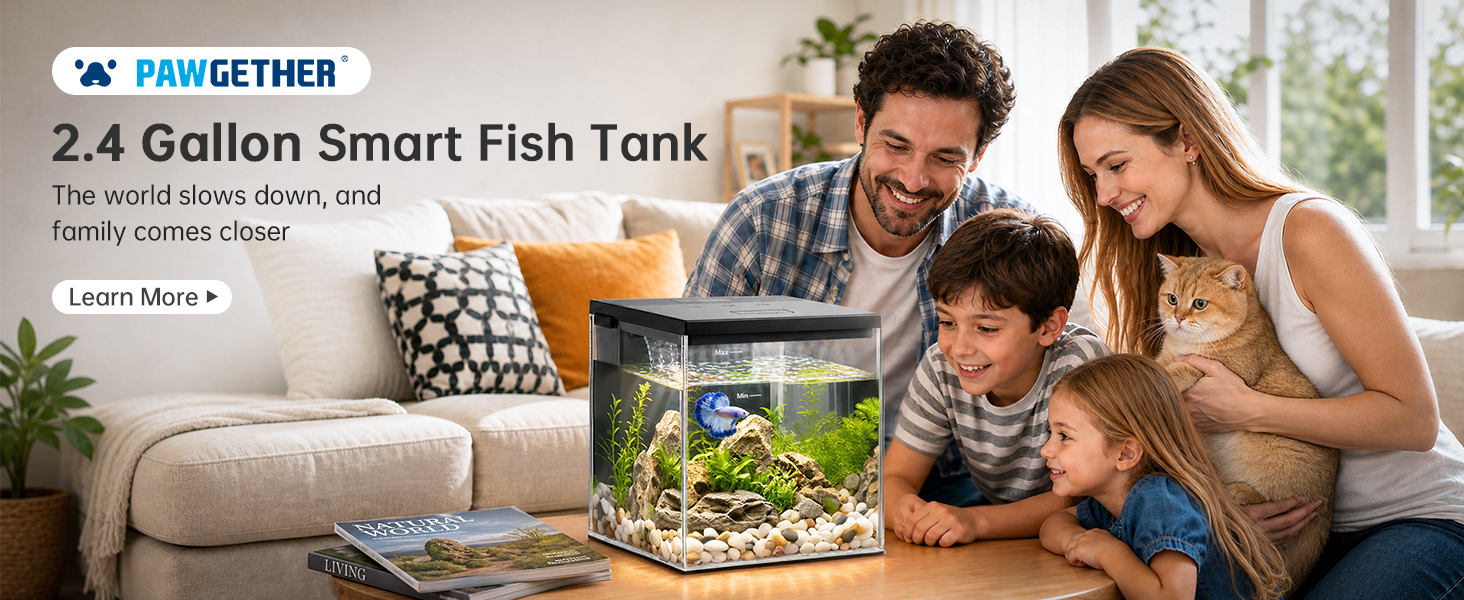 glass fish tank starter kits