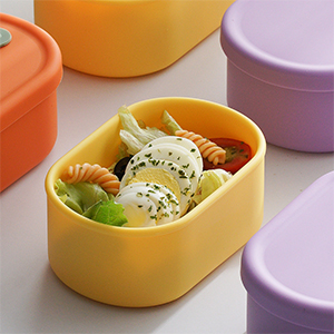 Salad Lunch Box