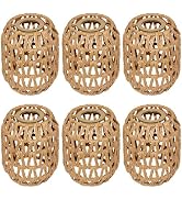LUCORUSC 6 Pack Rattan Lamp Shades Boho Hanging Light Lamp Shades, Woven LampShades for Floor Lam...