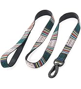 Embark Adventure Dog Leashes - Colorful, Strong and Sturdy Nylon Dog Leash for Small, Medium and ...