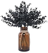 Coferset Black Eucalyptus Stems in Glass Vase with Faux Water for Halloween Decorations, 14" Euca...