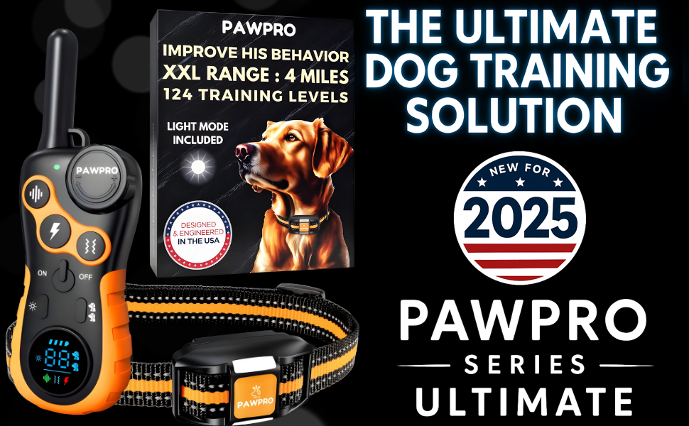 dog shock collar