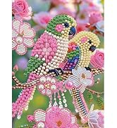 Tontut Adult Diamond Painting Kit Parrot and Birds Pearl Painting 5D DIY Special-Shaped Diamond A...