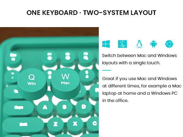 dual system layout
