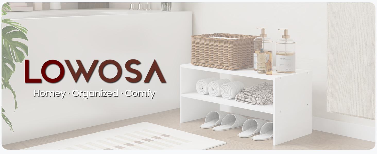 LOWOSA 2 tier shoe rack