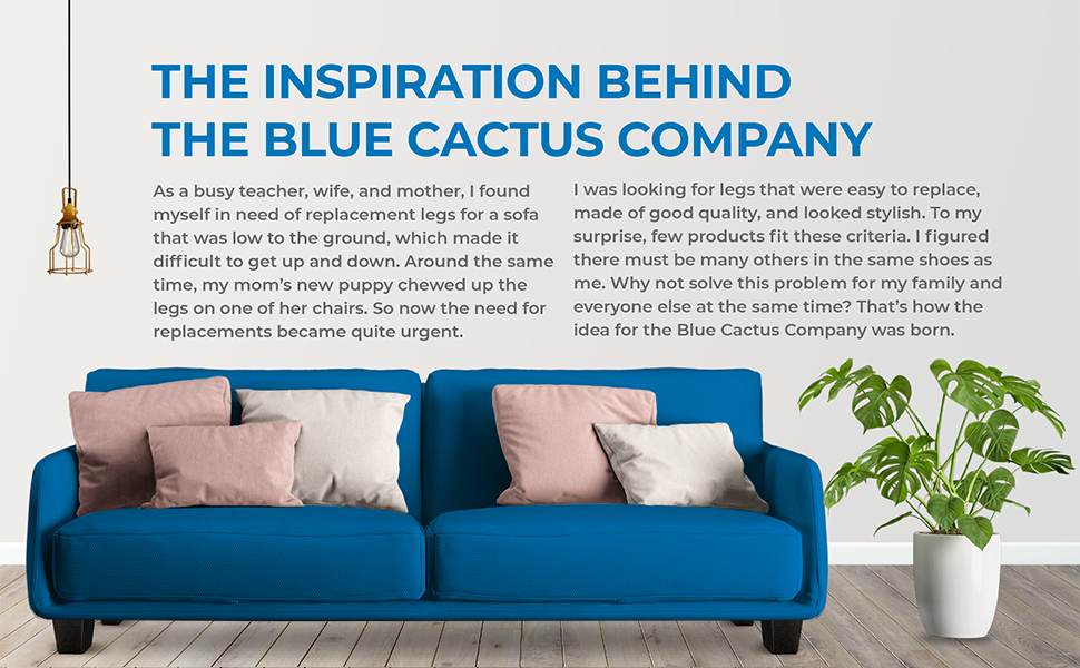 The Inspiration Behind The Blue Cactus Company