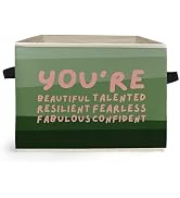 Ghoaoivo Green and Pink Inspirational Storage Box Bins, You're Beautiful Talented Positive Affirm...