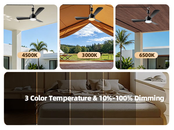 Plug in Ceiling Fan Light