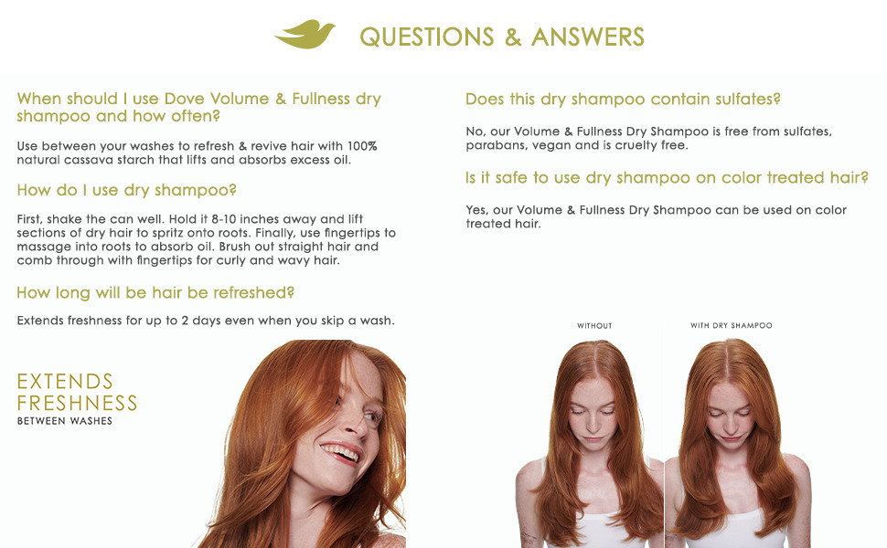 Q&A