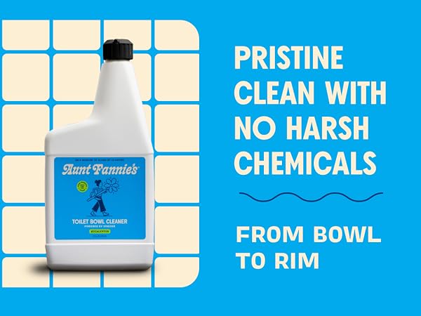 Toilet Bowl Cleaner