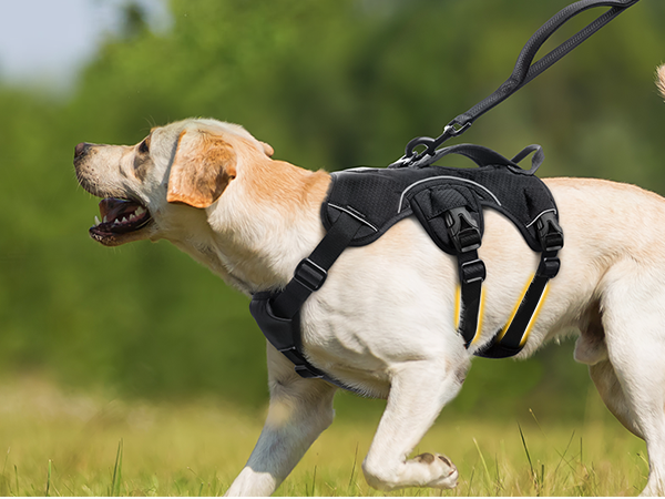 dog harness large sized dogs