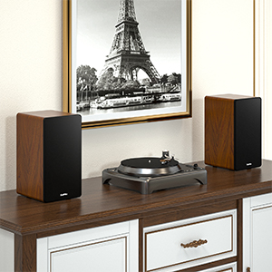 speakers for record player