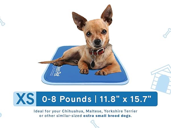 cool pet pad
