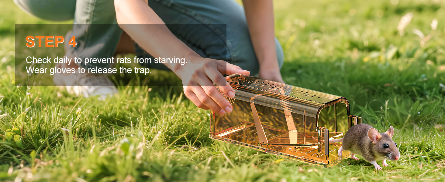 catch and release mouse traps