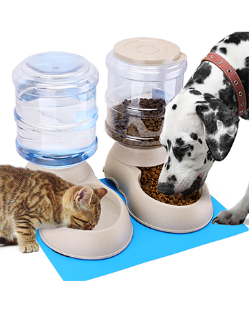 cat toys