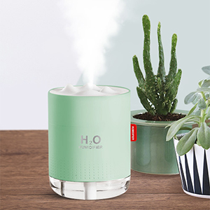 Portable Humidifier